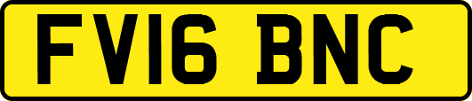 FV16BNC
