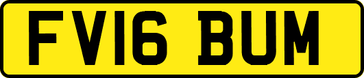 FV16BUM