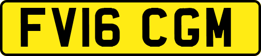 FV16CGM