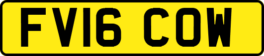 FV16COW