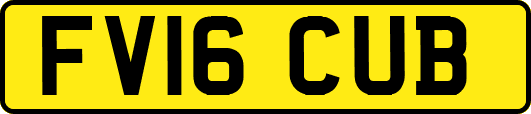 FV16CUB