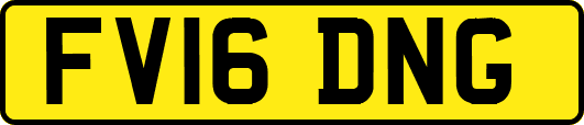 FV16DNG