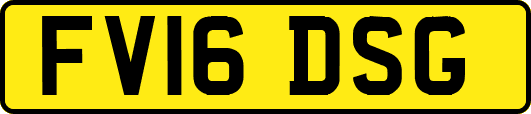 FV16DSG