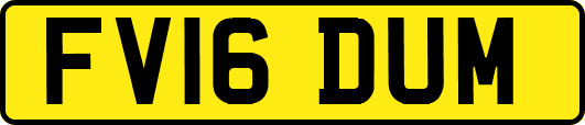 FV16DUM