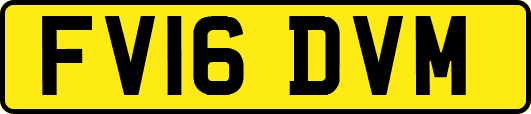FV16DVM