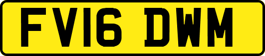 FV16DWM