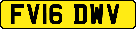 FV16DWV