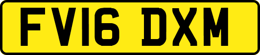 FV16DXM