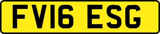 FV16ESG