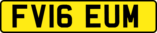 FV16EUM