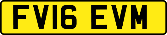 FV16EVM