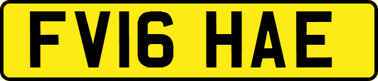 FV16HAE