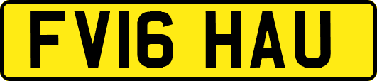 FV16HAU