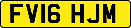 FV16HJM
