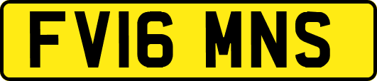 FV16MNS
