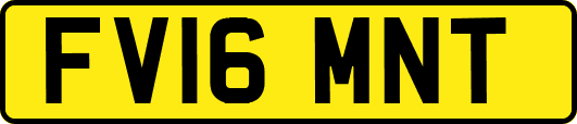 FV16MNT