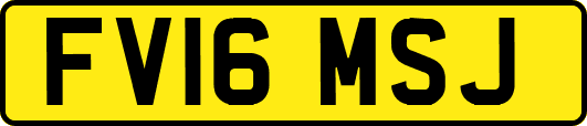 FV16MSJ