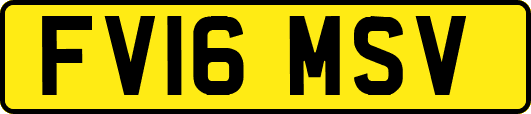 FV16MSV