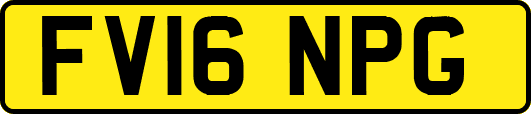 FV16NPG