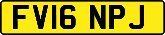 FV16NPJ