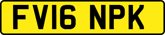 FV16NPK