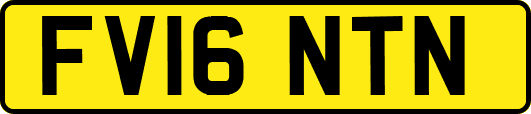 FV16NTN