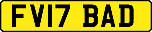 FV17BAD