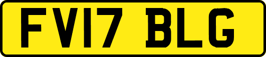 FV17BLG