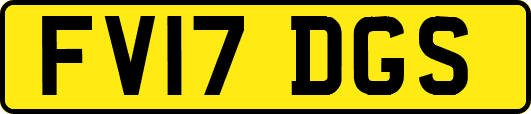 FV17DGS