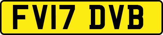 FV17DVB