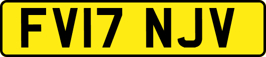 FV17NJV