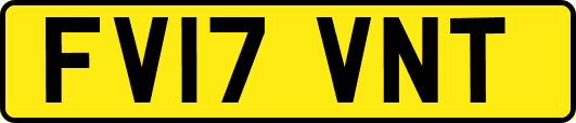 FV17VNT