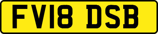 FV18DSB
