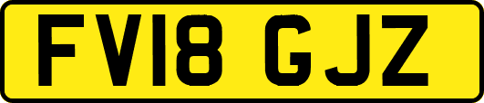 FV18GJZ