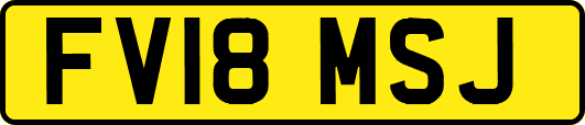 FV18MSJ