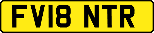 FV18NTR