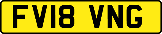 FV18VNG