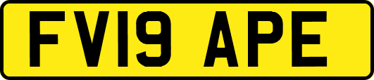 FV19APE