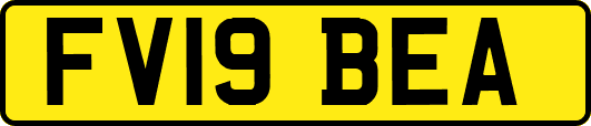 FV19BEA