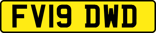 FV19DWD