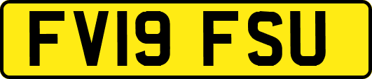 FV19FSU