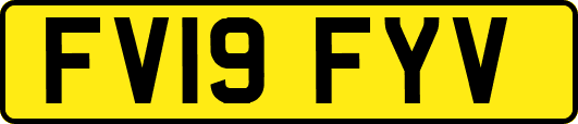 FV19FYV
