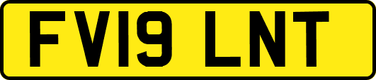 FV19LNT