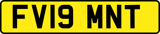 FV19MNT