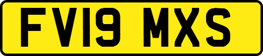 FV19MXS