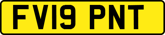 FV19PNT