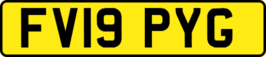 FV19PYG