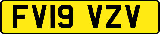 FV19VZV