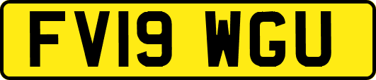 FV19WGU