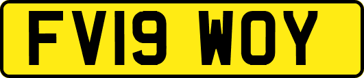 FV19WOY